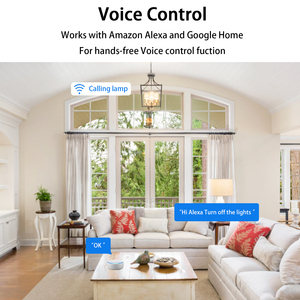 Tiêu chuẩn Mỹ thông minh quạt trần ánh sáng với wifi thời gian cao điện áp thấp động cơ điều khiển từ xa (JF-DC01) - Product Image 4