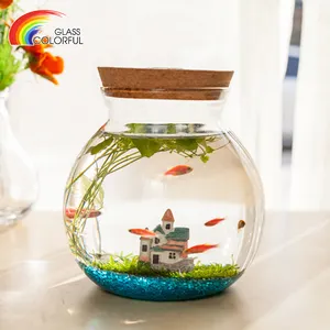 Wholesale Decorative Transparent Microview Mini-glass-fish-bowl Clear Glass Fish Shaped Bowl