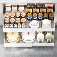 Tiroir de rangement extractible Unho: Organisateur extensible avec rail coulissant Tiroirs coulissants pour épices de cuisine