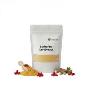 Poudre d'extrait sec de berbérine de qualité alimentaire sauvage pour le développement de produits nutritionnels et l'approvisionnement international B2B - Product Image 1