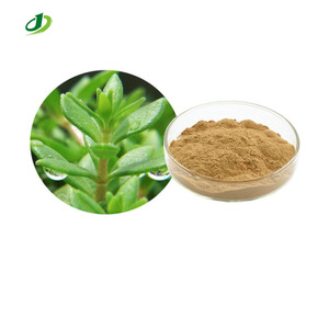 Natuurlijk Herba Sedi Sarmentosi <span class=keywords><strong>Extract</strong></span> 10:1 Vezelige Steenplant Kruidenextract Poeder 20:1 - Product Image 1