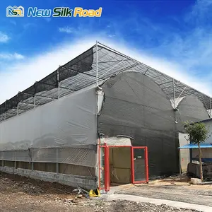 NSR Greenhouse Low Cost multi span film greenhouse For Sale