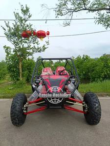 Voiture électrique tout-terrain puissante à deux places pour le tourisme, certifiée CE, batterie au plomb-acide, temps de charge de 4 à 7 heures, garantie de deux ans - Product Image 5