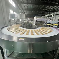 Machine à fabriquer des barres protéinées, ligne de production automatique d'extrusion et de découpe de barres protéinées, machine d'extrusion de barres protéinées