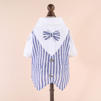 Vêtements pour chien à rayures, style western, tendance printemps