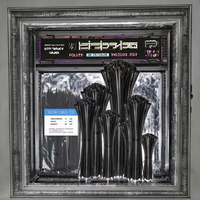 Attaches-câbles en nylon autobloquants de haute qualité, résistants aux chocs, portables, pour voiture, longueur 200 mm, couleur noire, vente en gros