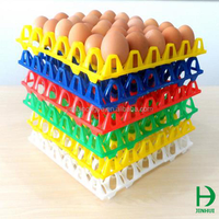 Vente directe bon marché durable d'usine plateau 30 en plastique bon marché d'oeufs en plastique de PE pour la ferme de poulet
