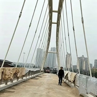 Estructura de Acero con Cables de Soporte para Puente Arqueado Personalizado, para la Construcción de Pasarelas Peatonales Urbanas