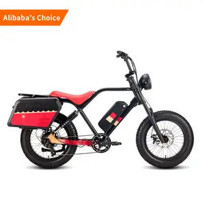 Elektrische fiets 250W خمر 750w دراجة كهربائية بطارية 48v 20AH الدهون الاطارات رخيصة الرجعية دراجات كهربائية للبالغين