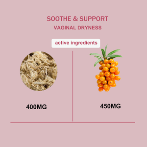 Label pribadi Premium kapsul kulit Elm licin 500 mg-dukungan alami untuk wanita intim kekeringan & kenyamanan, Vegan, non-gmo - Product Image 3