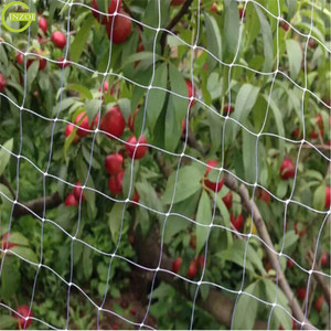 Maille de <span class=keywords><strong>volière</strong></span> noire à bon prix <span class=keywords><strong>pour</strong></span> fraises - Product Image 6