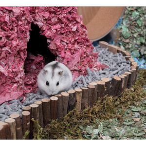 Animales pequeños conejillo de indias hámsteres juguetes <span class=keywords><strong>puente</strong></span> <span class=keywords><strong>colgante</strong></span> pequeña mascota escalera de escalada larga - Product Image 4