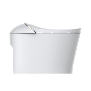 Best <strong>Intelligent</strong> <strong>Toilet</strong> Electrique Nightlight Foot Sensor Flushing Bathroom Bowl Ceramic <strong>Toilet</strong> Smart - Product Image 5