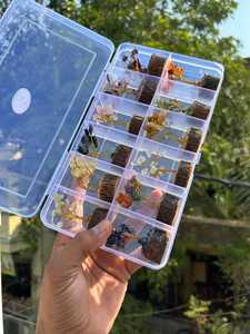 Coffret de bijoux Arbre de Vie en cristal naturel sculpté, pierres précieuses, décoration Feng Shui pour la maison, coffret cadeau - Product Image 6