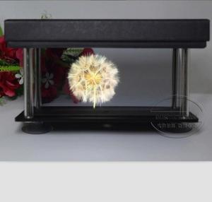 Projecteur holographique 3D à 180 degrés pour téléphone, boîte d'affichage holographique 3D en acrylique, visionneuse d'hologrammes pour smartphone pour projection 3D - Product Image 1