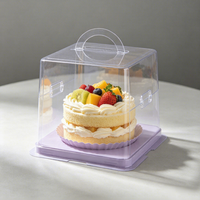 Boîte thermoformée rectangulaire personnalisable de qualité alimentaire pour gâteaux, mousses, pâtisseries, présentoirs de boulangerie, emballage commercial