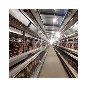H Frame Fully Automated Battery Layer Chicken Cages For Hens Laying