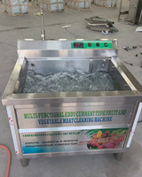 SAIDASHI Groente- en fruitreiniger met luchtblazer, ozonverwarming voor sla, kool, tomaat, aardappel en champignons