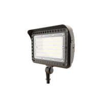 Fabricant fournisseur Led projecteur de jardin lampe de puissance éclairage couleur trempé corps verre vert lumineux blanc