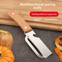 Couteau à éplucher multifonctionnel manuel en acier inoxydable argenté pour cuisine, ouvre-bouteille, outil à canne à sucre, râpe à légumes