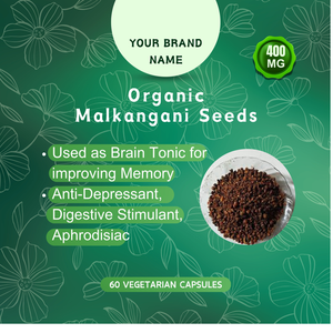 Fournisseur indien direct 100% Capsules de graines Malkangani biologiques pures stimulant l'immunité culture sauvage Fournisseur indien direct - Product Image 2