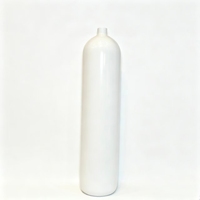 Bouteille d'extincteur en acier inoxydable de haute qualité 3 kg certifiée ISO CE pour extincion d'incendie portable, utilisable, OEM