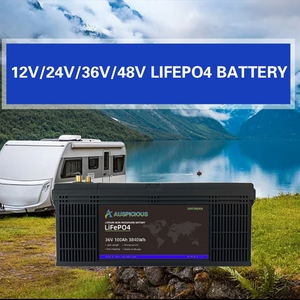 Batterie de stockage d'énergie solaire LiFePO4 100Ah 200Ah 12V/24V à prix d'usine, longue durée de vie (6000 cycles), garantie 10 ans - Product Image 2