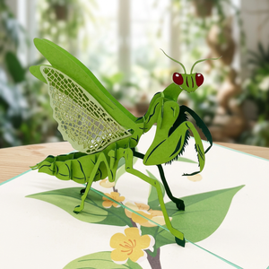 Meilleure Vente : Carte Pop-up 3D Personnalisée Découpée au Laser, Mantis, Artisanat en Papier Animal Fait Main, Décoration d'Intérieur, Journée de la Terre, Remise de Diplôme, Thanksgiving - Product Image 1