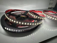 Bande lumineuse LED RGB CCT en cuivre de haute qualité, CRI élevé Ra 95, RGBCCT 24V, 60/120 LED/m