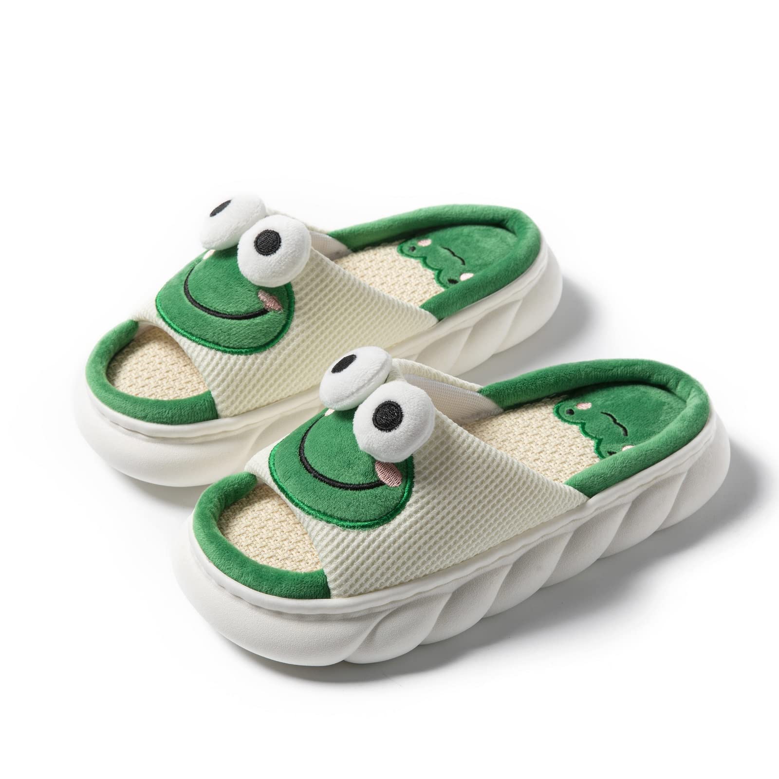 Fun Funky Frog Shoes Stylish Summer Slippers for All