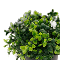 Décoration de bureau, mini-pots de plantes artificielles, fleurs
