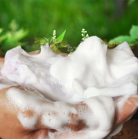 Savon artisanal de haute qualité à base de plantes blanchissant et nourrissant pour le visage et le corps, transparent comme du cristal, 250 g, antiseptique et anti-acné