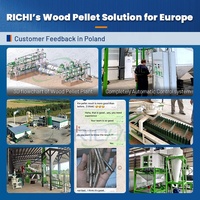 Planta de Pellets de Madera de Alta Eficiencia Energética RICHI 5 T/H Finlandia, Línea Profesional de Pellets de Biomasa con Gran Capacidad y Soporte en Línea
