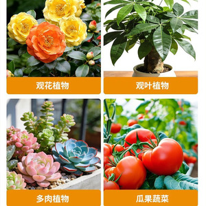 200g - Product Image 3