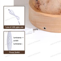 Großhandel Handgefertigte Zylindrische Tauchlampen-Nachtleuchte aus Epoxidharz mit USB-Dimmbarer LED und Massivholz-Basis als Tischlampe und Geschenk