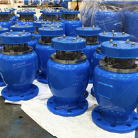 Válvula de Aire de Protección Contra Sobretensiones AWWA C-512 Directa de Fábrica, Combinación de Válvula de Aire con Brida DI SS, Clase 150 para Sistema de Riego