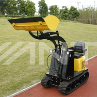 Ant Mini Skid Steer Loader BY135 pour petites exploitations Hydraulique Front Loader Track Engine Motor Core Components Fabriqué en Chine