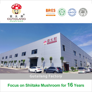 Chất Lượng Cao Lựa Chọn Khô Cắt Lát Nấm (3Mm) Khô Shiitake Dải Nấm Shiitake Nấm Cắt Lát - Product Image 3