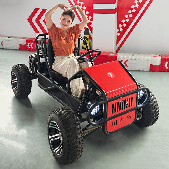 Electric Off-Road High-Power Steel Go Kart with Brushless Motor 60V 30km/h Max Speed for Adults and Kids Outdoor