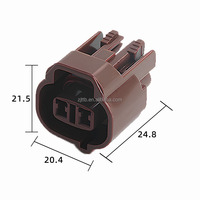6189-0033 Conector de arnés de interruptor de presión de automóvil doméstico 2 orificios Sensor de temperatura del agua de la DJ7025-2-21 Enchufe de aire acondicionado