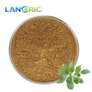 Toptan Plantago Major Özü Doğal Plantago Asiatica Özü Tozu Plantain Özü - Product Image 2