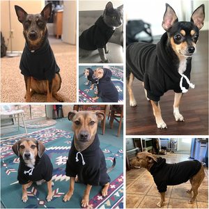 Manufacturers Wholesale Matching <b>Dog</b> and Owner Dress <b>Sweater</b> Coats Designer Luxury Puppy <b>Dog</b> Pet Clothes - Product Image 6
