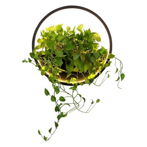Lampe murale extérieure étanche pour plantes, cylindre LED, décoration de jardin, villa, cour - Product Image 5