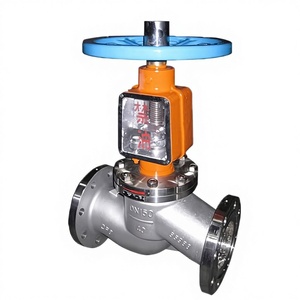 Desengrasador profesional manual de acero inoxidable y latón, tipo enchufe, sin aceite, con interruptor, para uso en metalurgia y detención de oxígeno, modelo JY41W-16P - Product Image 1