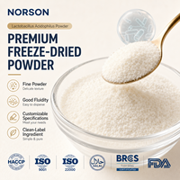 Poudre Probiotique de Qualité Alimentaire pour le Soutien Immunitaire, Service OEM, Certifiée GMP, Approvisionnement en Gros