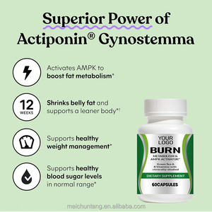 Oem Hete Verkoop Afslankcapsules Organische Gewichtsverlies Pillen Voor Vetverbranding En Detox - Product Image 5