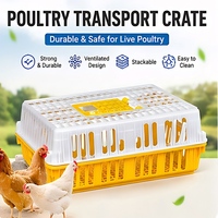 Caisses de transport robustes en plastique pour volailles vivantes (poulets, canards et oies), empilables