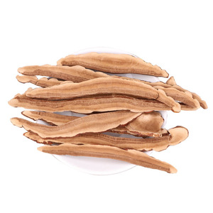 Vente en gros de poudre de <span class=keywords><strong>champignon</strong></span> Reishi chinois à partir d'espèces de couleur rouge ganoderma lucidum à bon prix - Product Image 6