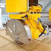 Machine de découpe de pont mono-bloc CNC-3 Wanlong utilisée pour la coupe de dalles de pierre