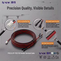Kabel Harness Pemisah Terminal PHS2.0 2P Male ke Dual 110 Female, 1 ke 2, Merah Hitam untuk Lampu Kabinet LED Strip, Custom OEM